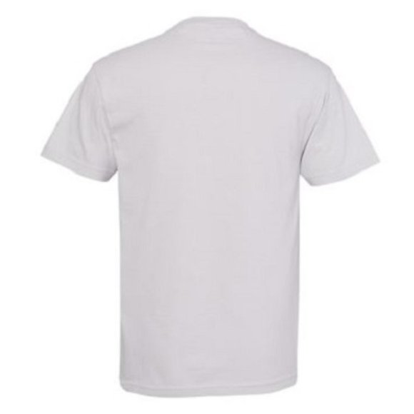 🆕 ALSTYLE ADULT ULTRA COTTON ROUND-NECK SHORT SLEEVE T-SHIRT - SILVER - LARGE - Picture 2 of 2